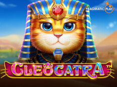 Live casino android. Cool cat casino bonus codes 2023.15